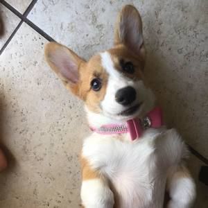 Meet your Posher, Margie